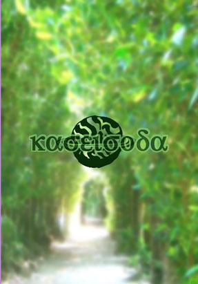 皇帝陛下の夏休み