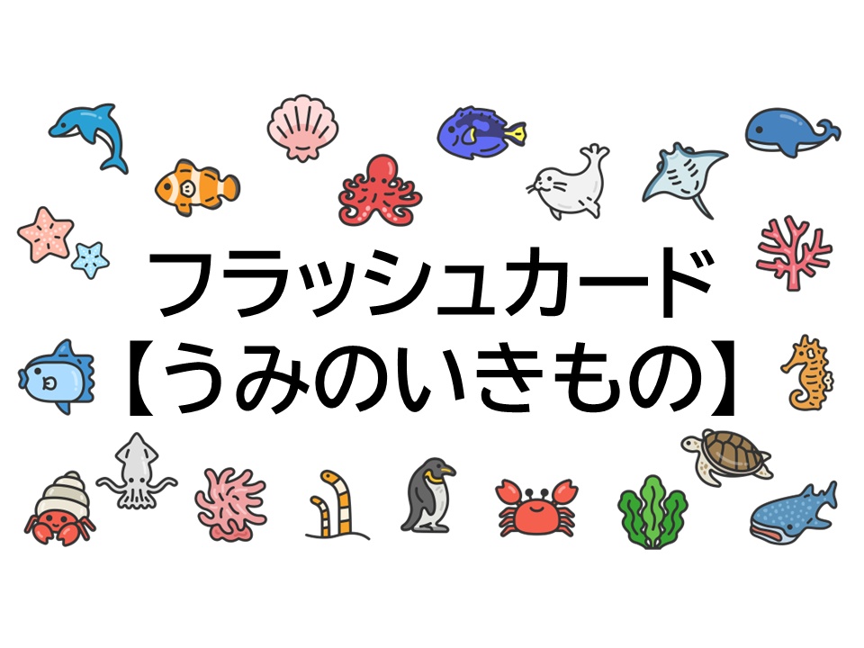 【広告なし】乳幼児向けフラッシュカード（海の生き物編）｜楽しく学ぶ知育動画