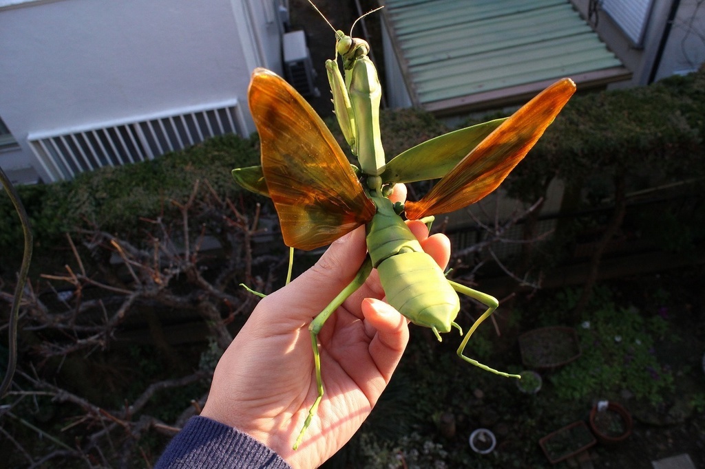 可動昆虫オオカマキリ