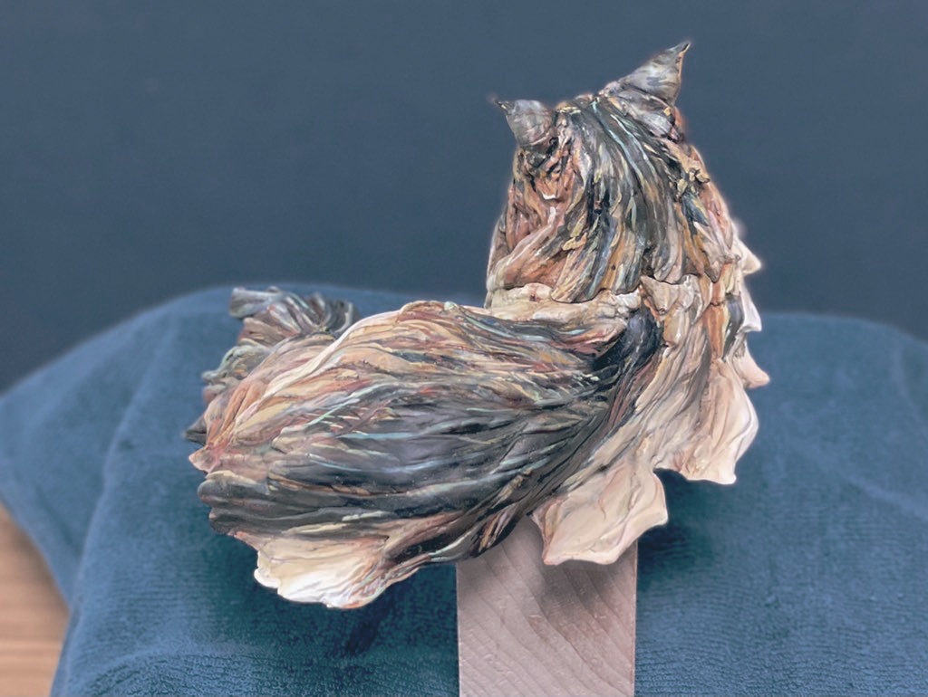 福猫 ”Forest Qeen”