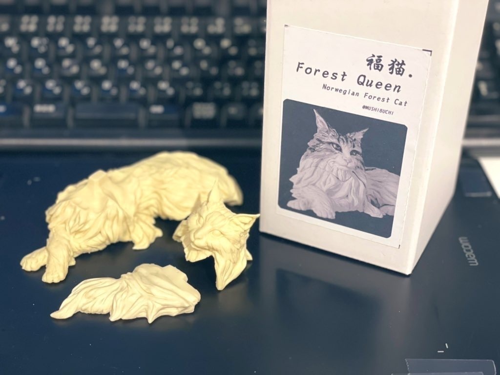 福猫 ”Forest Qeen”