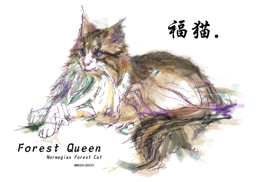 福猫 ”Forest Qeen”