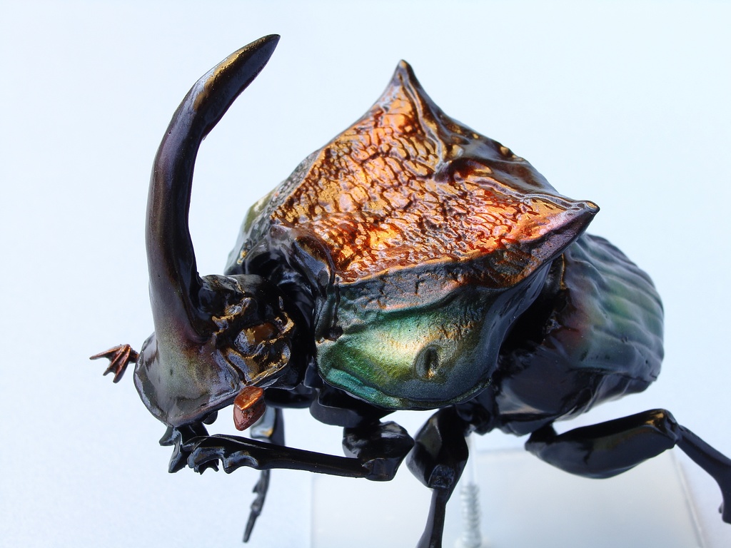 アメチヌスニジダイコ