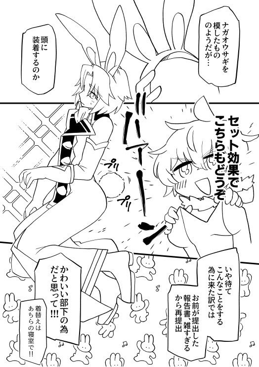 世界を導くロドマスバニーブック