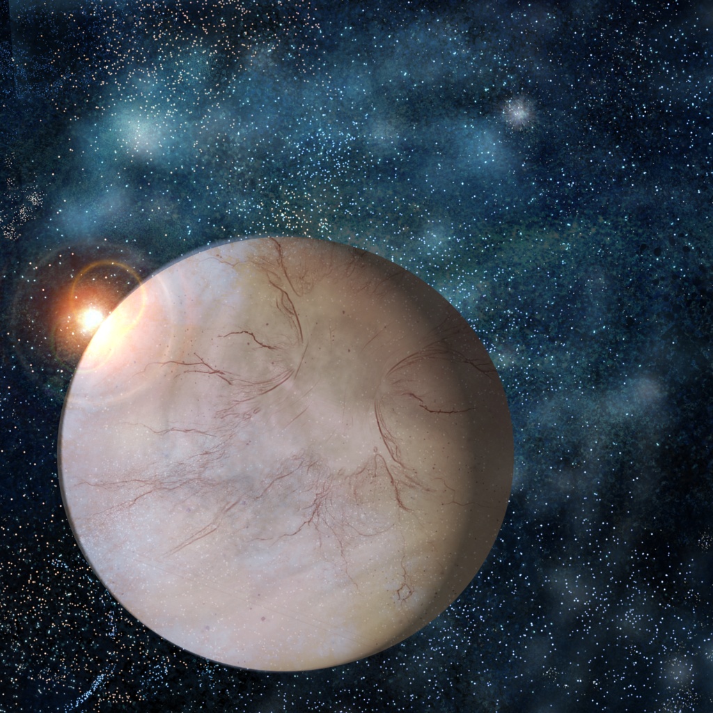 SFソフトウェアの再インストールが正常に完了した。