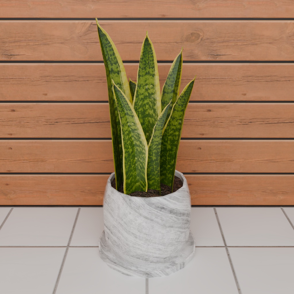 【3Dモデル】サンスベリア