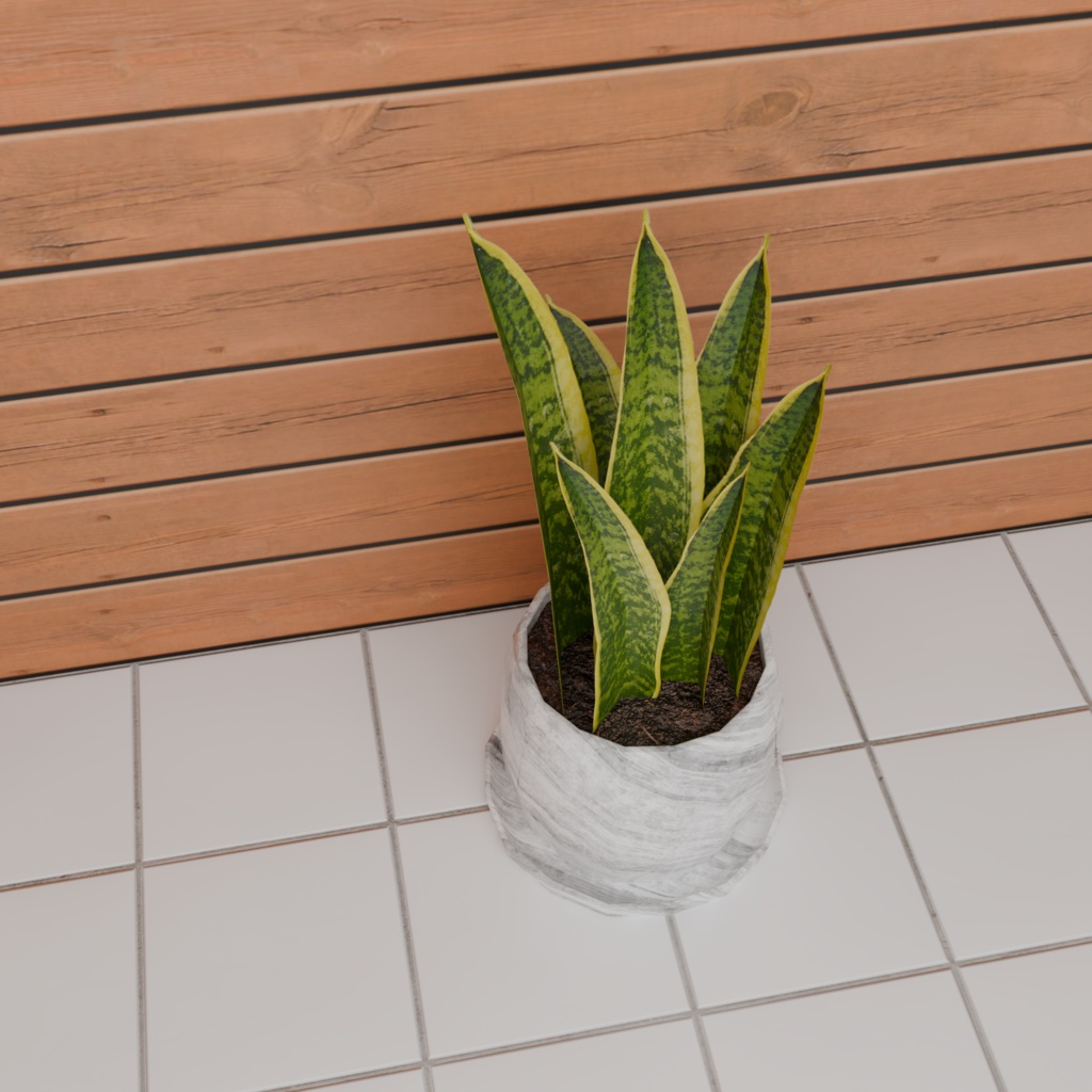 【3Dモデル】サンスベリア