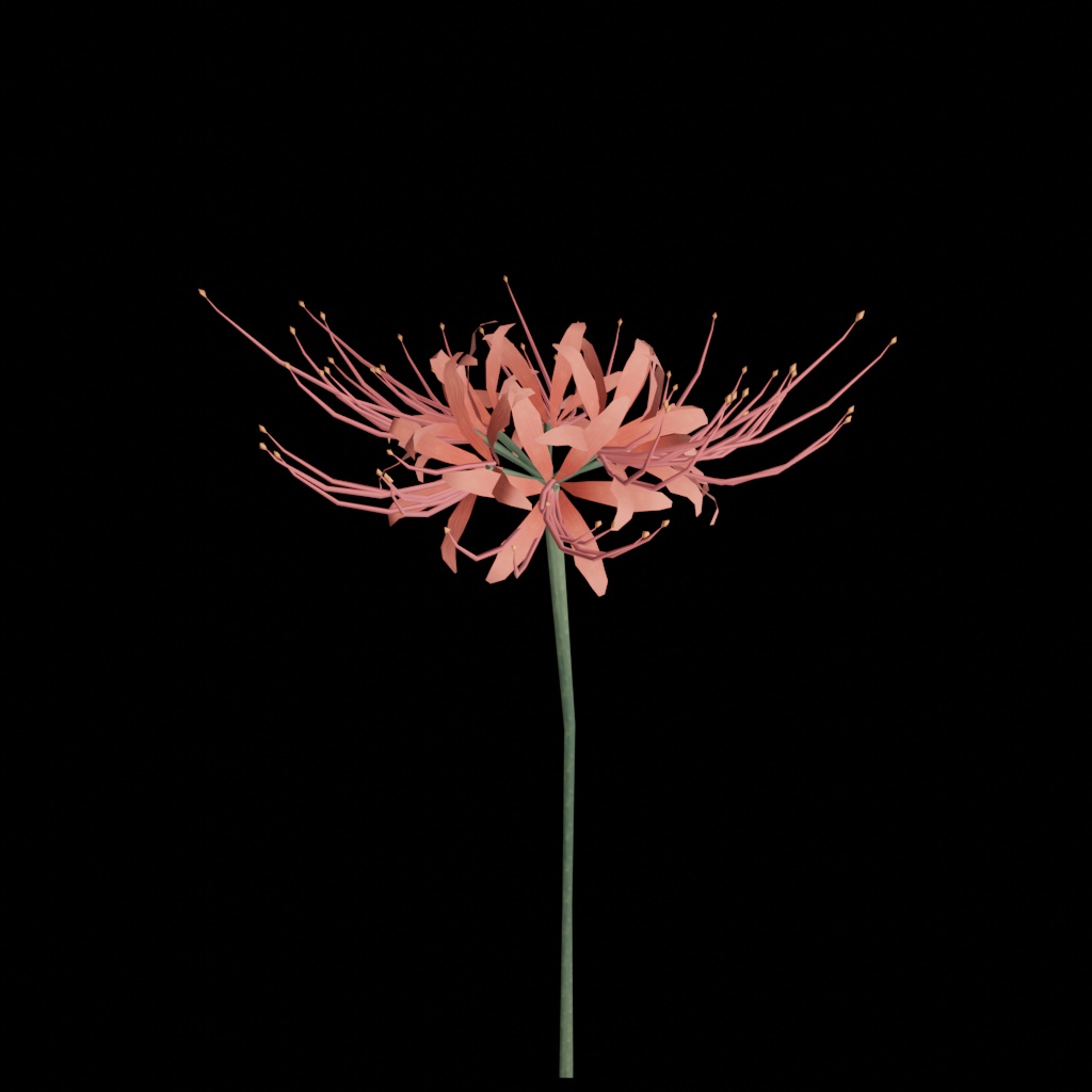 【無料3Dモデル】彼岸花