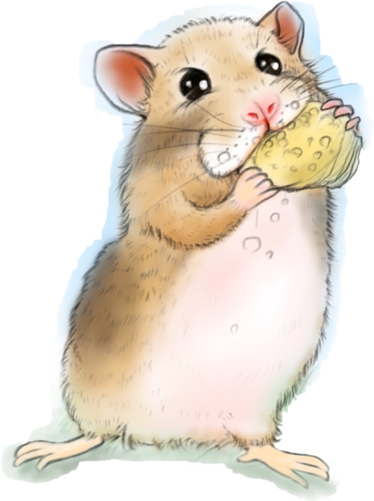 ふわふわハム君