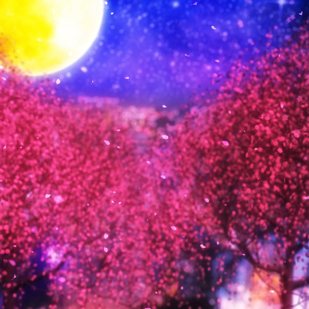 【無料】夜桜のBG/動画