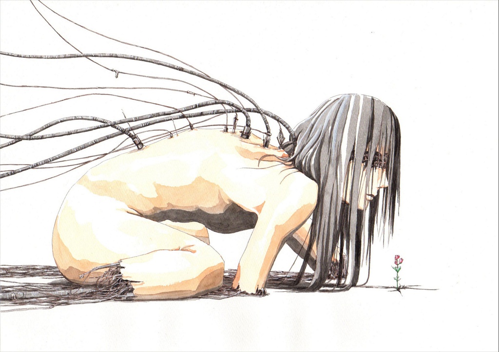 この花の名前