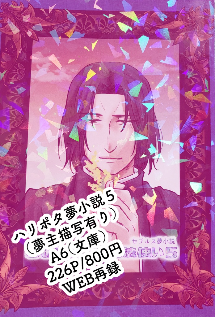 【夢小説】夢みる少女と魔法使い５