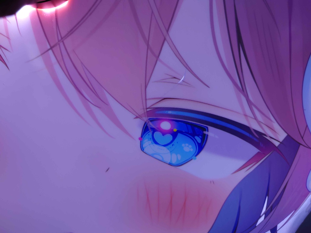 【限定頒布】150cmネコミミ浮き輪_ねおん(即発送・一読)