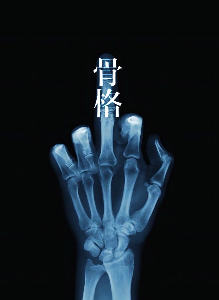 詩集 骨格