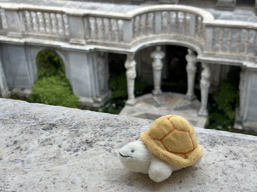 【無料・同人使用ok】亀の場所の写真