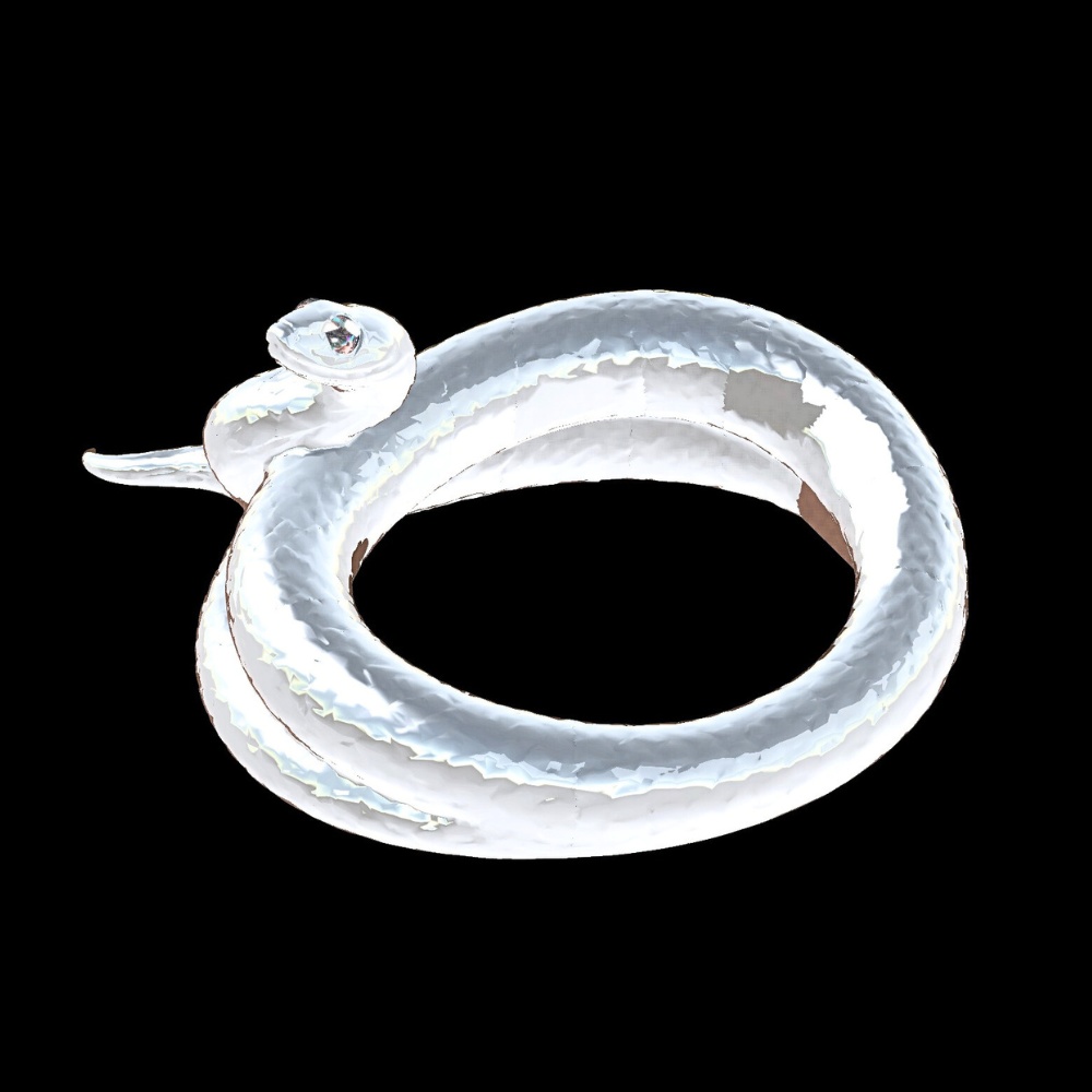 COILED INSTINCT-気づかれたくないまま-