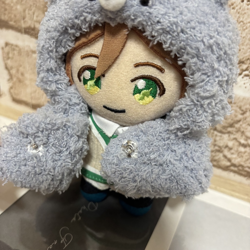 約10cmぬい用 もこもこ着ぐるみ ブルーベア