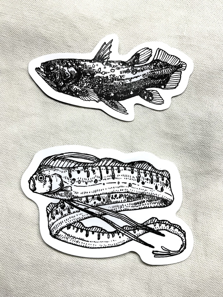 耐水ステッカー