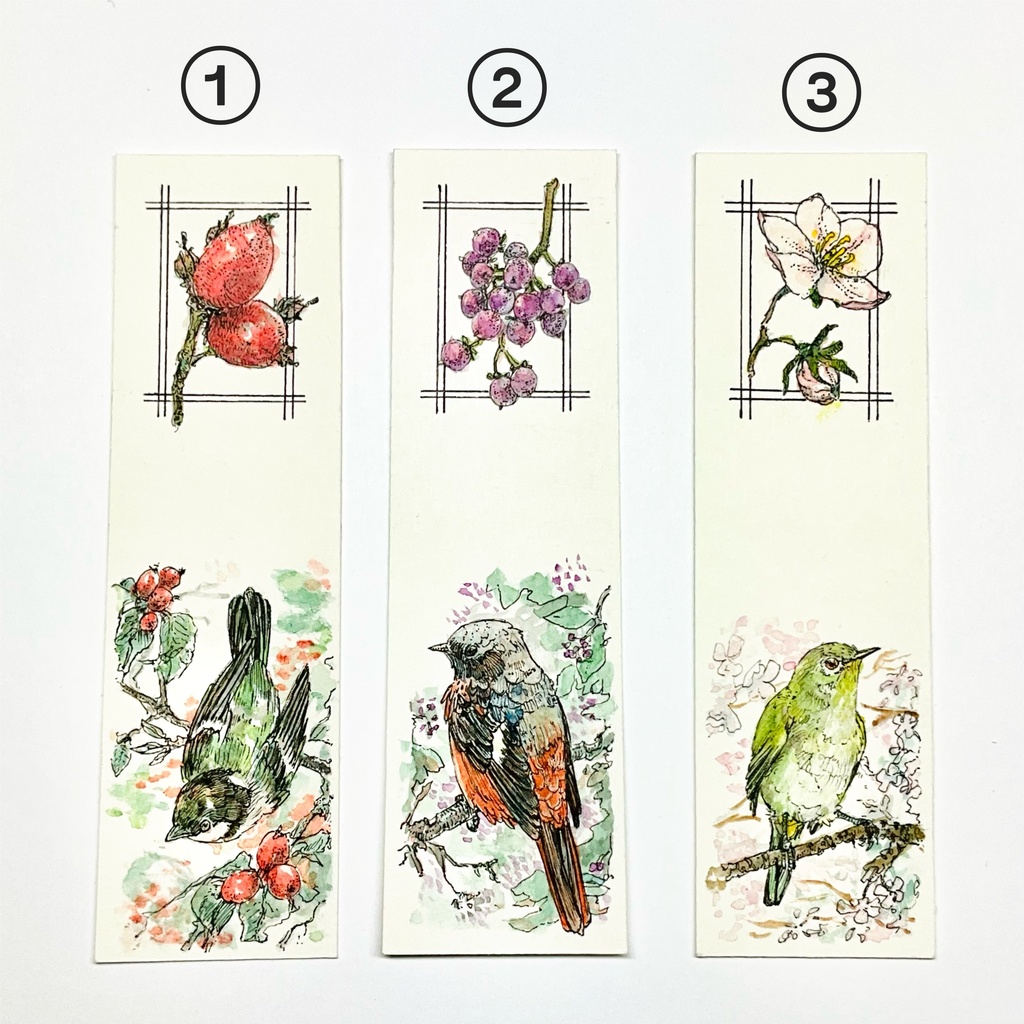 原画　小鳥と植物