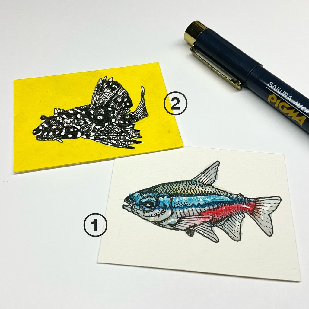ミニ原画　でふぉるめアマゾンフィッシュ