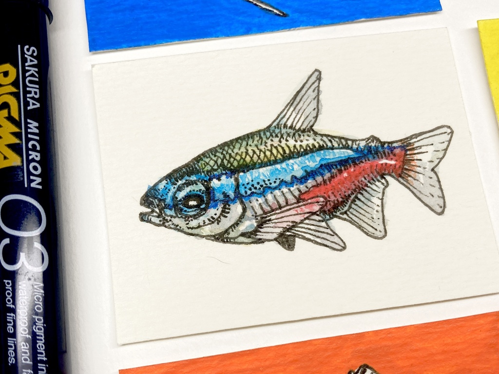 ミニ原画 でふぉるめアマゾンフィッシュ