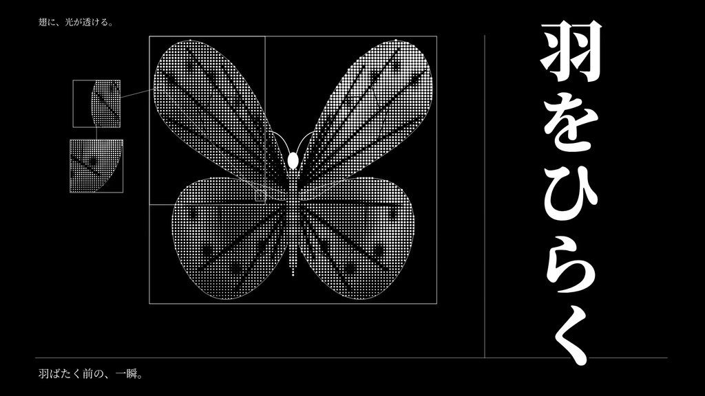 Rapid VJ Pack