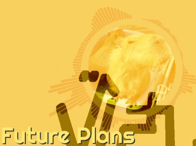 Future Plans