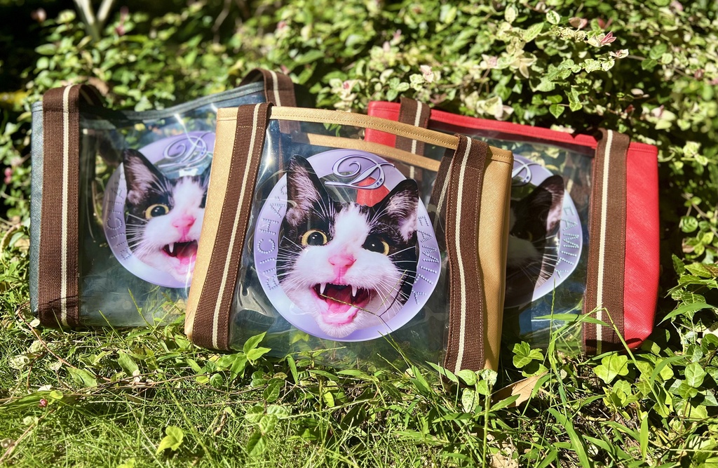 顔面の圧がすごいドロンジョスケスケバッグ