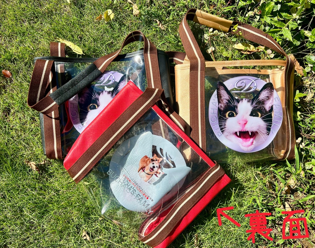 顔面の圧がすごいドロンジョスケスケバッグ