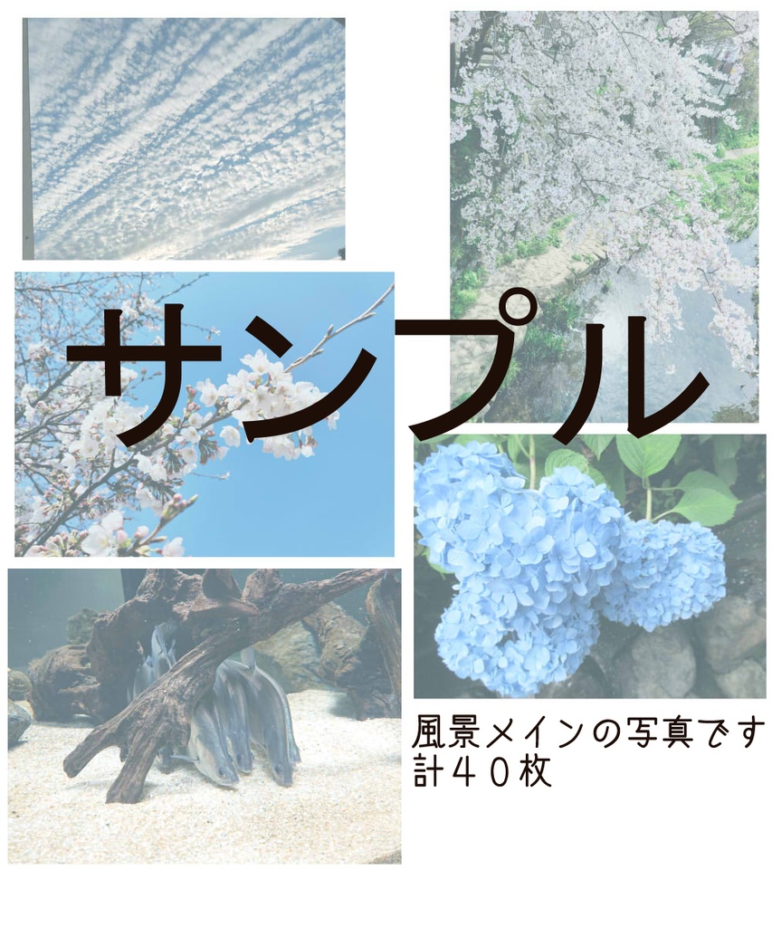 【素材】何かの役に立つかもしれない写真