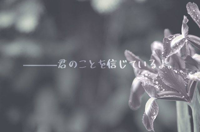 CoC「ダッチアイリスを君に」