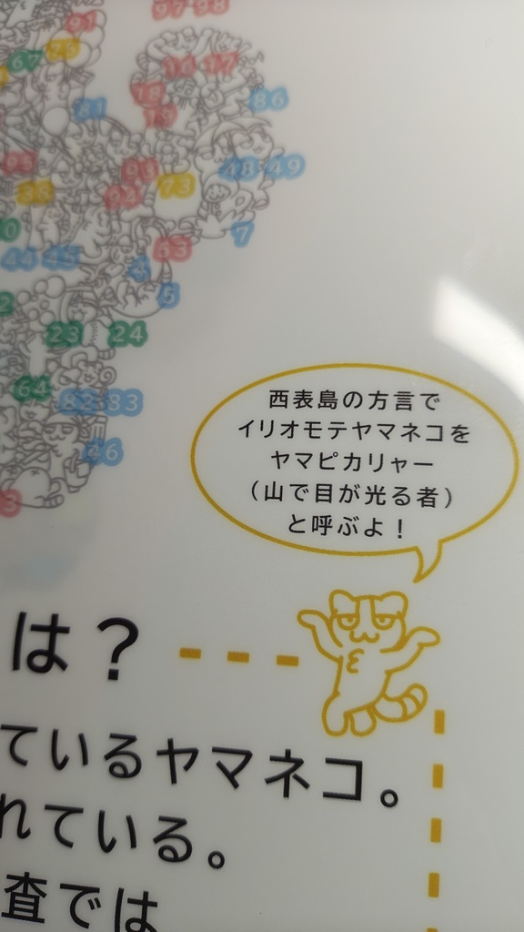 ヤマネコ100シリーズ 「ぴかりゃー」クリアファイル