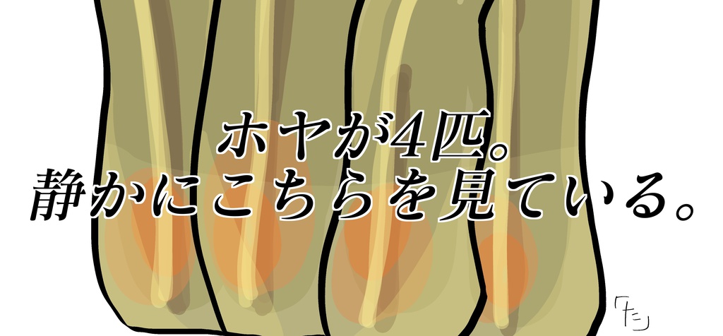 ホヤT〜ホヤ4匹〜