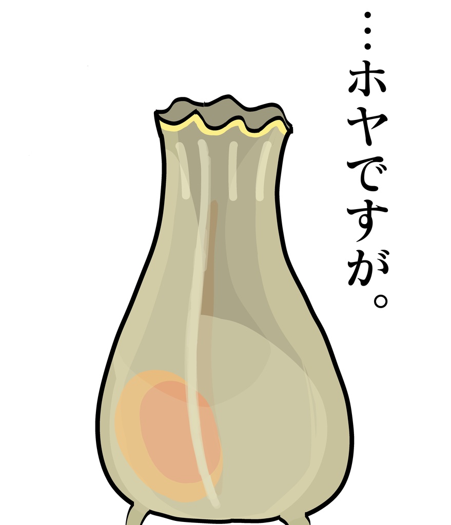 ホヤT〜ホヤですが〜