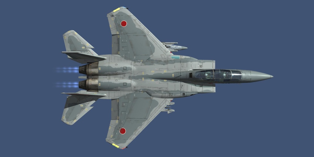 航空自衛隊 F-15DJ