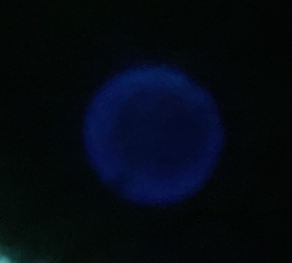 【ハンドメイド】犬夜叉 四魂のかけらの塊ネックレス