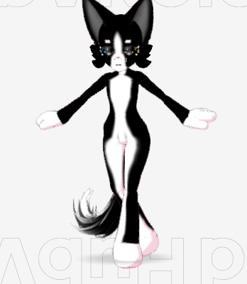 Furry cat black and with