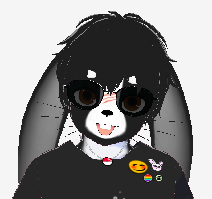Lapin noir et blanc