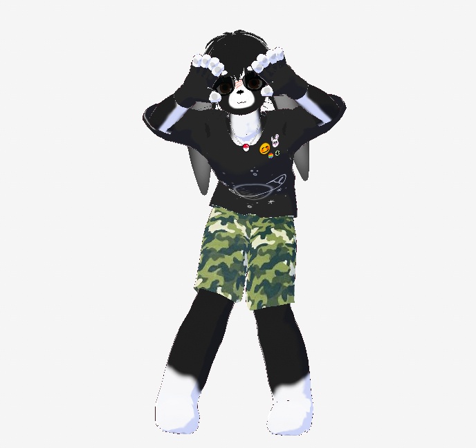 Lapin noir et blanc