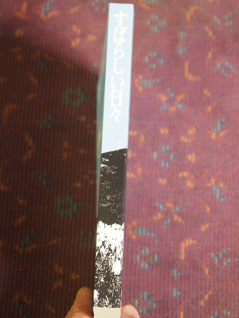 「すばらしい日々」 エヴァンゲリオン二次創作小説