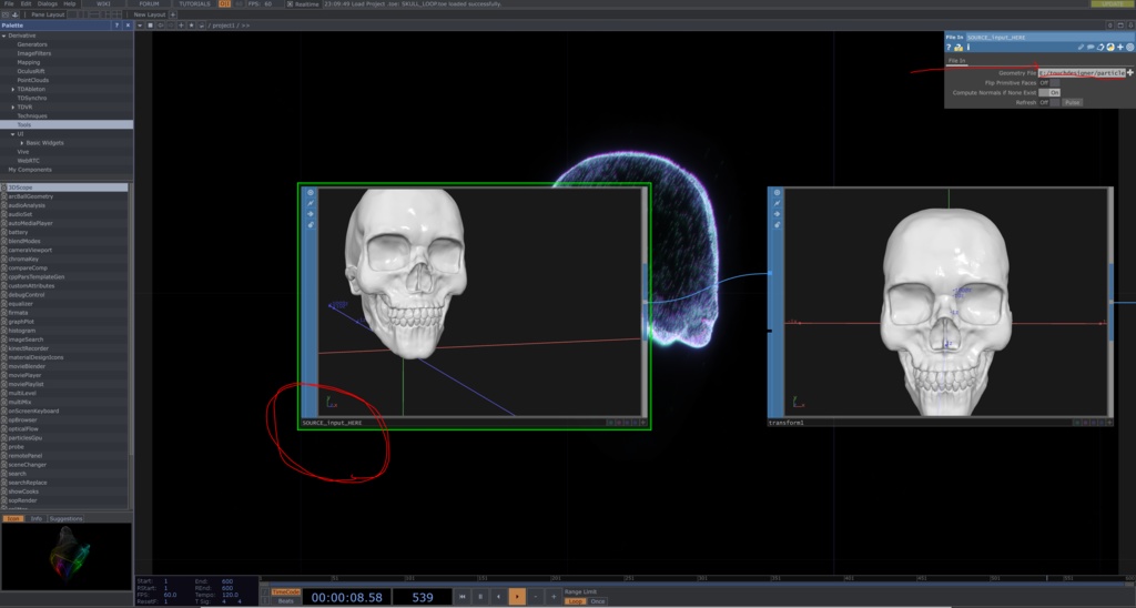 VJ LOOP SKULL