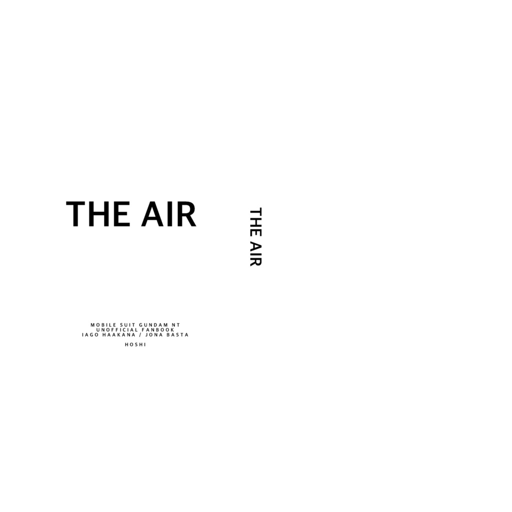 THE AIR