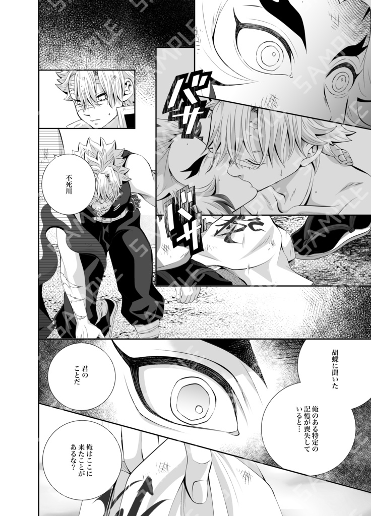 白夜の秘め事 再録集