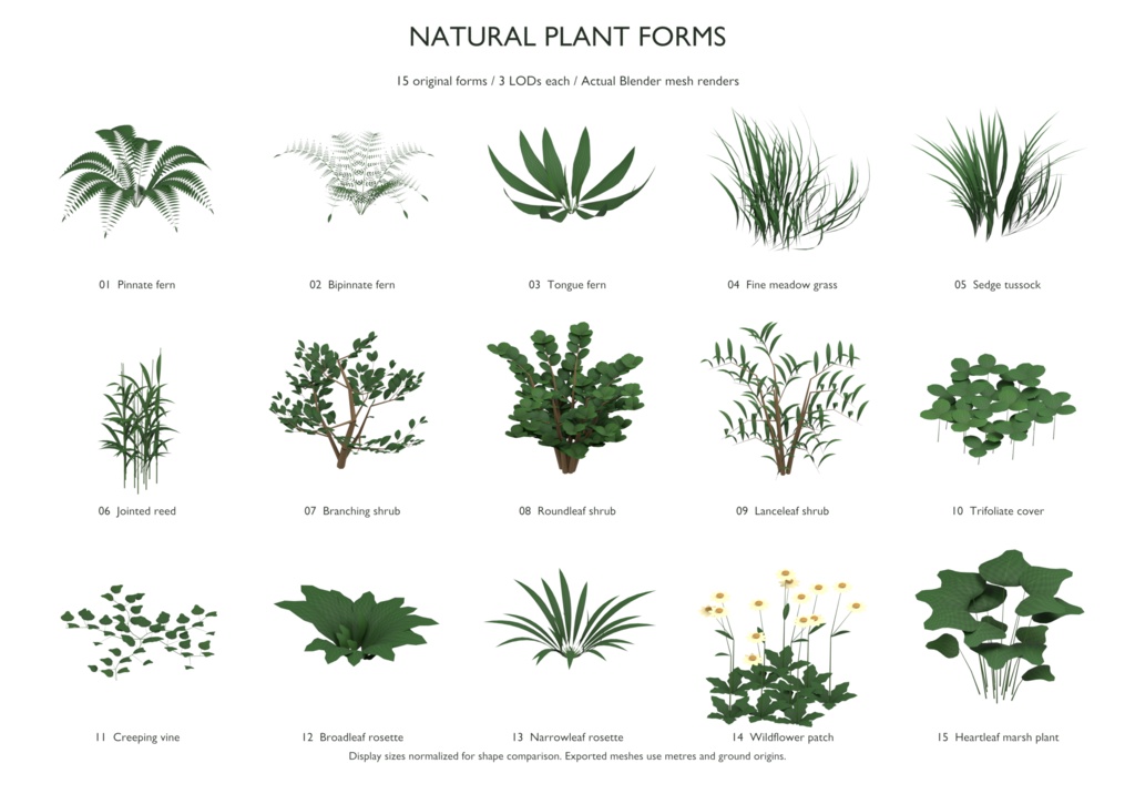 自然な葉と枝の植物15形態セット｜GLB・FBX／3LOD