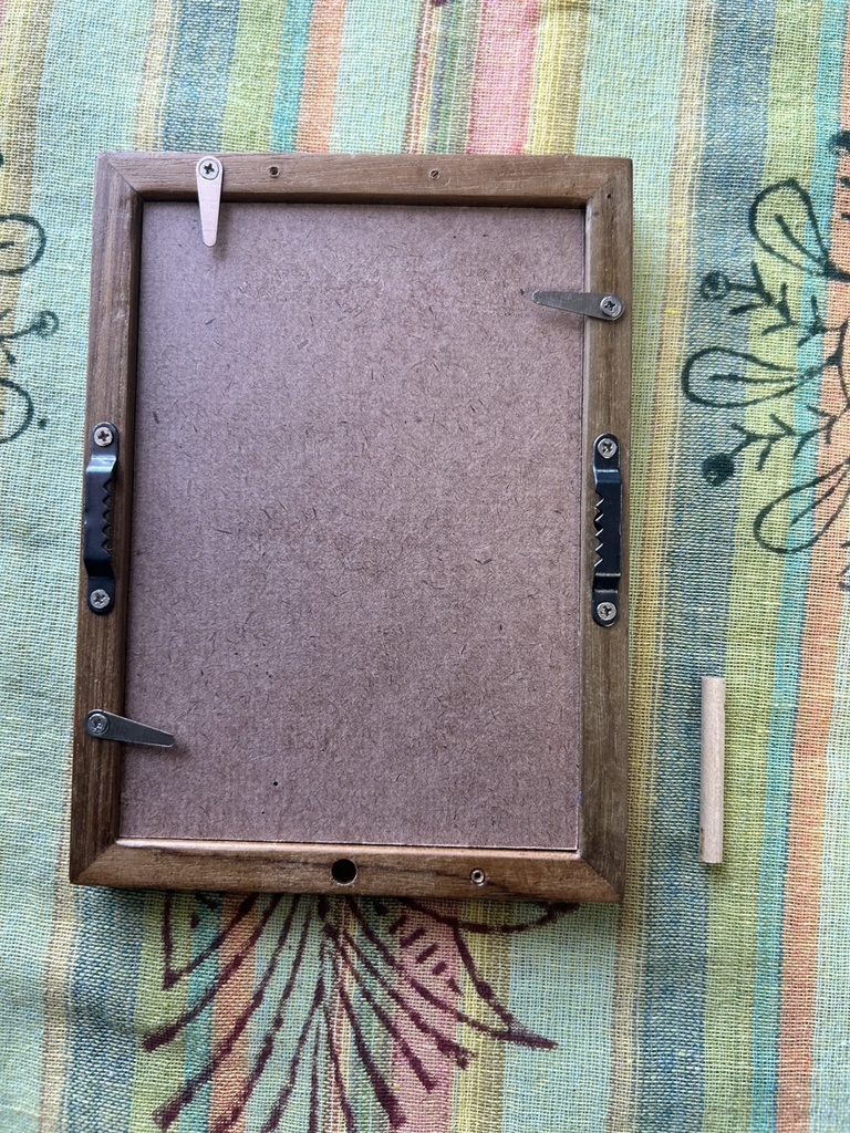 ヒヨドリとヤブツバキ