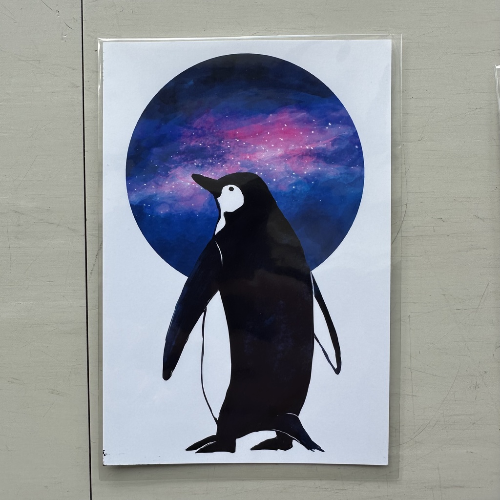 ポストカード【星見ペンギン】