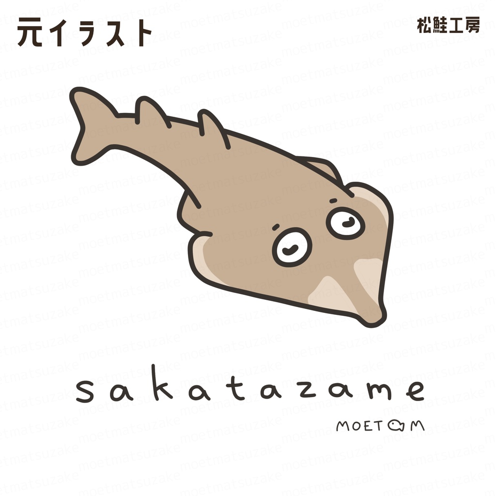 サカタザメTシャツ