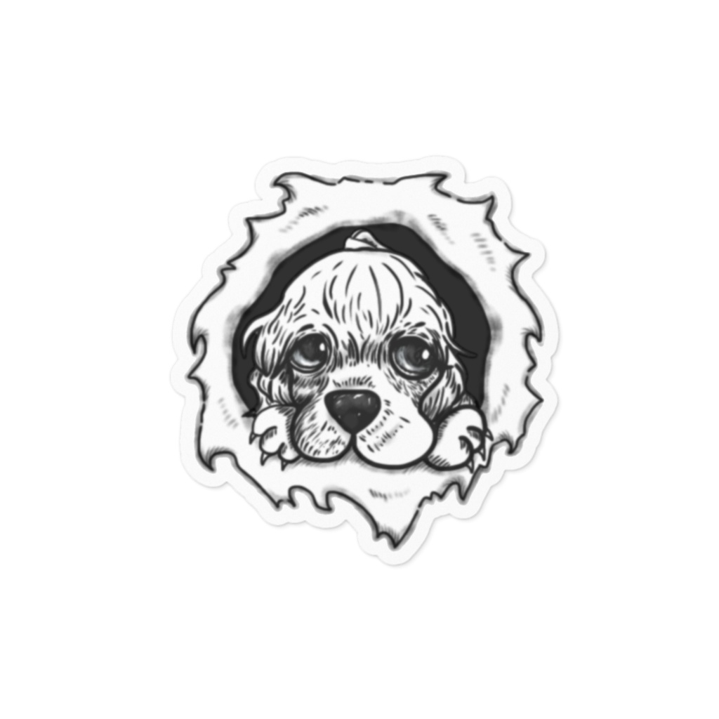 こんにちはコッカー