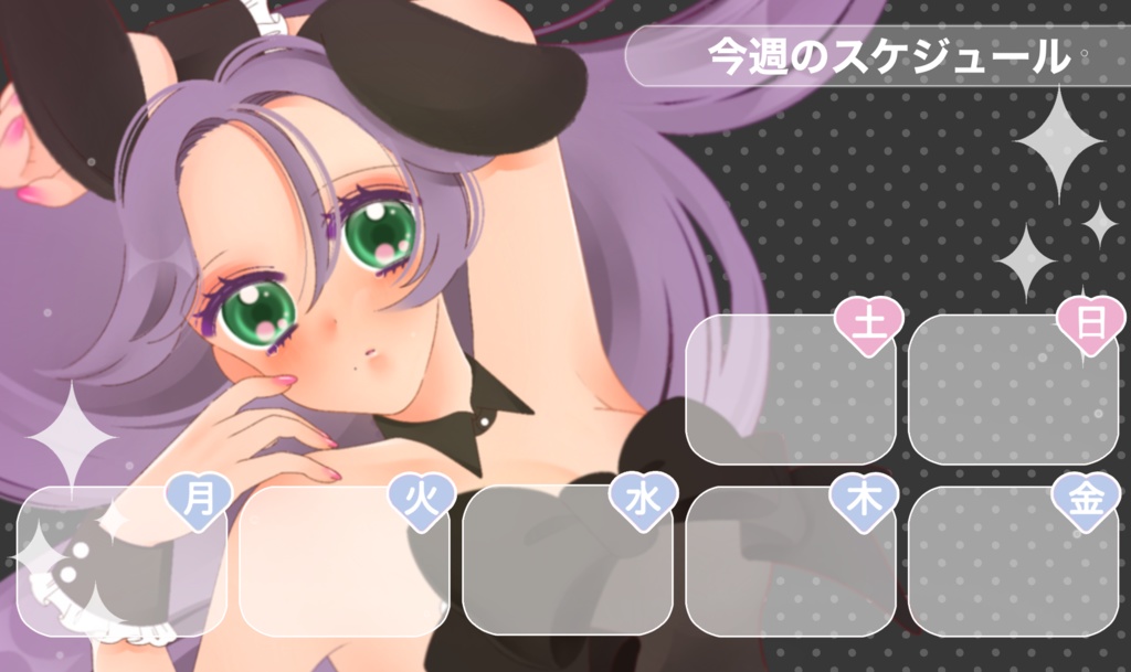 スケジュール表/カラーバリエーション有
