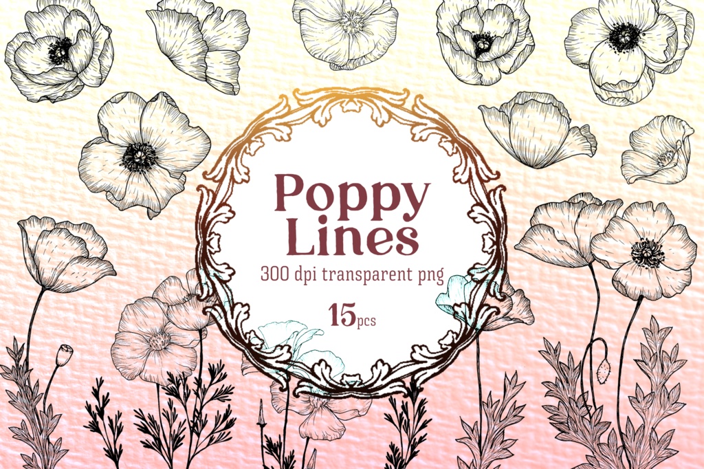 Poppy Flower Botanical Line, 15 transparent PNG Set